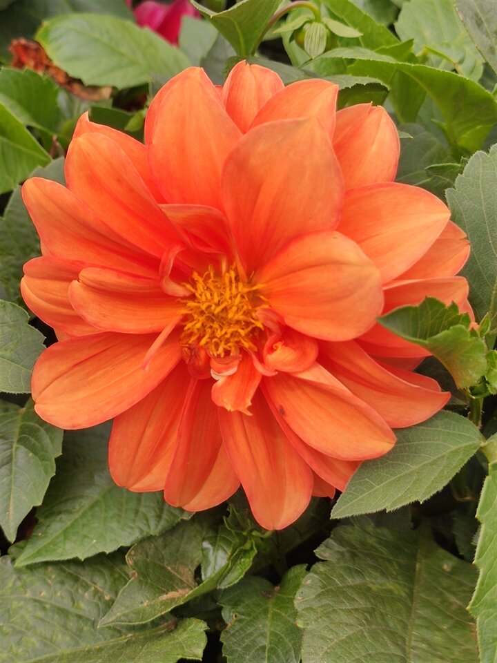 2023 «make» «model» - Photo 3 - Los Angeles, CA